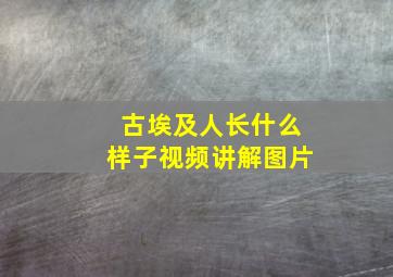 古埃及人长什么样子视频讲解图片