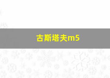 古斯塔夫m5