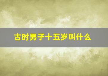 古时男子十五岁叫什么