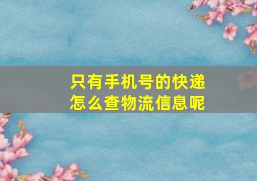 只有手机号的快递怎么查物流信息呢