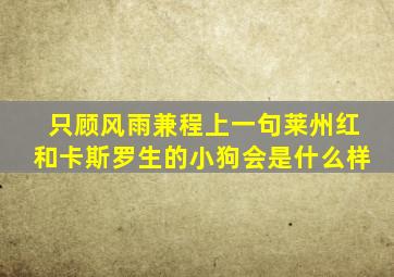 只顾风雨兼程上一句莱州红和卡斯罗生的小狗会是什么样