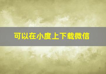 可以在小度上下载微信