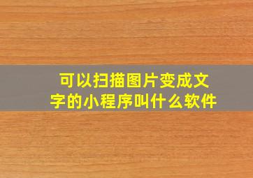 可以扫描图片变成文字的小程序叫什么软件