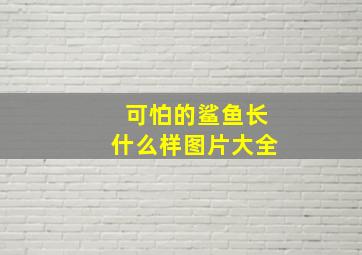 可怕的鲨鱼长什么样图片大全