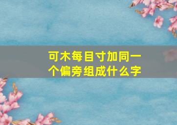 可木每目寸加同一个偏旁组成什么字