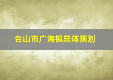 台山市广海镇总体规划