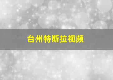 台州特斯拉视频