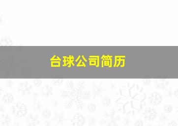 台球公司简历