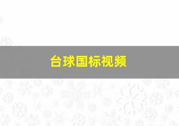 台球国标视频