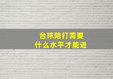 台球陪打需要什么水平才能进