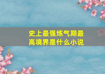 史上最强炼气期最高境界是什么小说