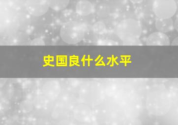 史国良什么水平