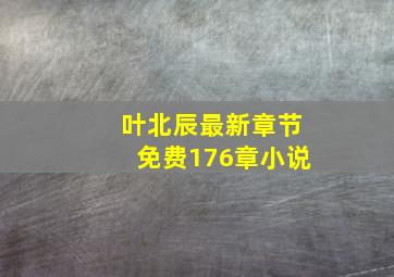 叶北辰最新章节免费176章小说