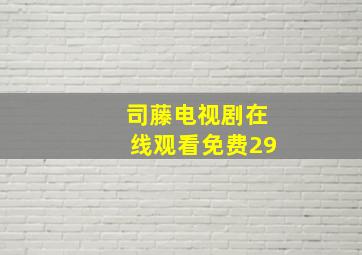 司藤电视剧在线观看免费29