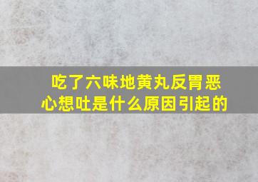 吃了六味地黄丸反胃恶心想吐是什么原因引起的