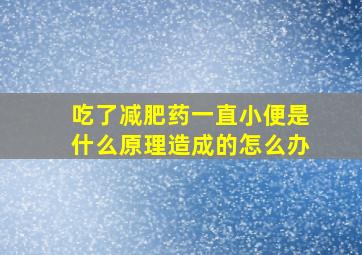 吃了减肥药一直小便是什么原理造成的怎么办