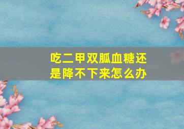 吃二甲双胍血糖还是降不下来怎么办