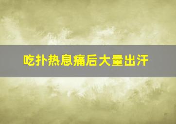 吃扑热息痛后大量出汗