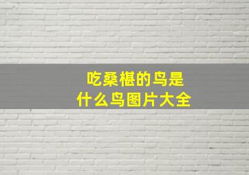 吃桑椹的鸟是什么鸟图片大全