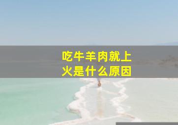 吃牛羊肉就上火是什么原因