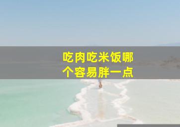 吃肉吃米饭哪个容易胖一点