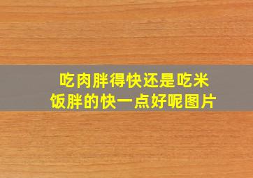 吃肉胖得快还是吃米饭胖的快一点好呢图片