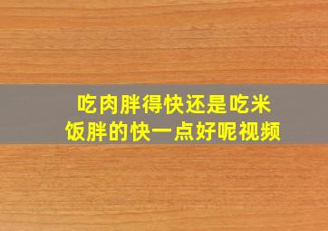 吃肉胖得快还是吃米饭胖的快一点好呢视频