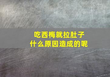 吃西梅就拉肚子什么原因造成的呢