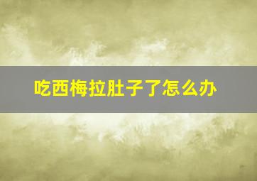 吃西梅拉肚子了怎么办