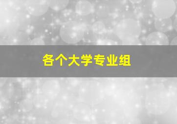 各个大学专业组