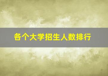 各个大学招生人数排行