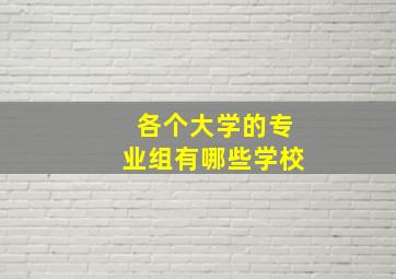 各个大学的专业组有哪些学校