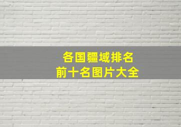 各国疆域排名前十名图片大全