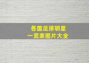 各国足球明星一览表图片大全