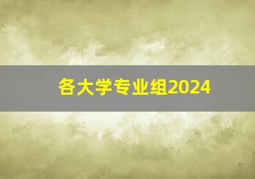 各大学专业组2024