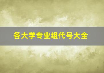 各大学专业组代号大全