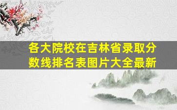 各大院校在吉林省录取分数线排名表图片大全最新