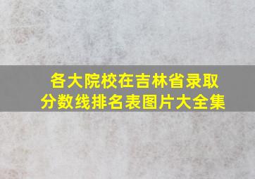 各大院校在吉林省录取分数线排名表图片大全集