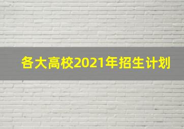 各大高校2021年招生计划