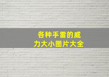 各种手雷的威力大小图片大全