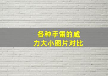 各种手雷的威力大小图片对比