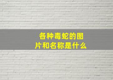 各种毒蛇的图片和名称是什么