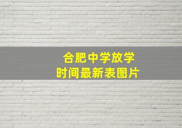 合肥中学放学时间最新表图片