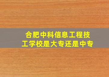 合肥中科信息工程技工学校是大专还是中专