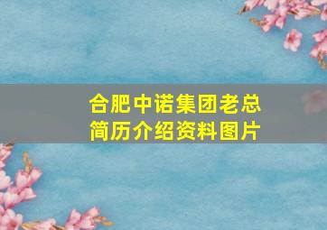 合肥中诺集团老总简历介绍资料图片