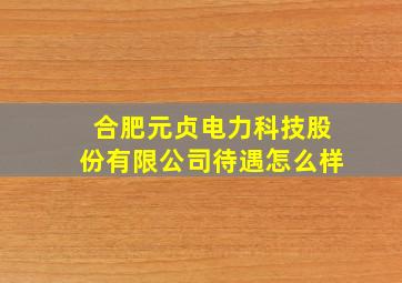 合肥元贞电力科技股份有限公司待遇怎么样