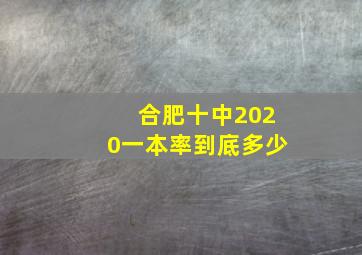 合肥十中2020一本率到底多少