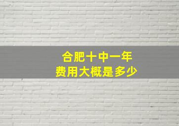 合肥十中一年费用大概是多少