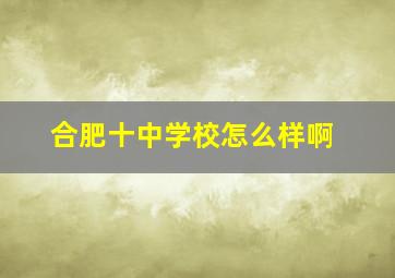 合肥十中学校怎么样啊