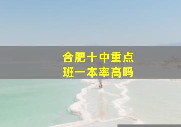 合肥十中重点班一本率高吗